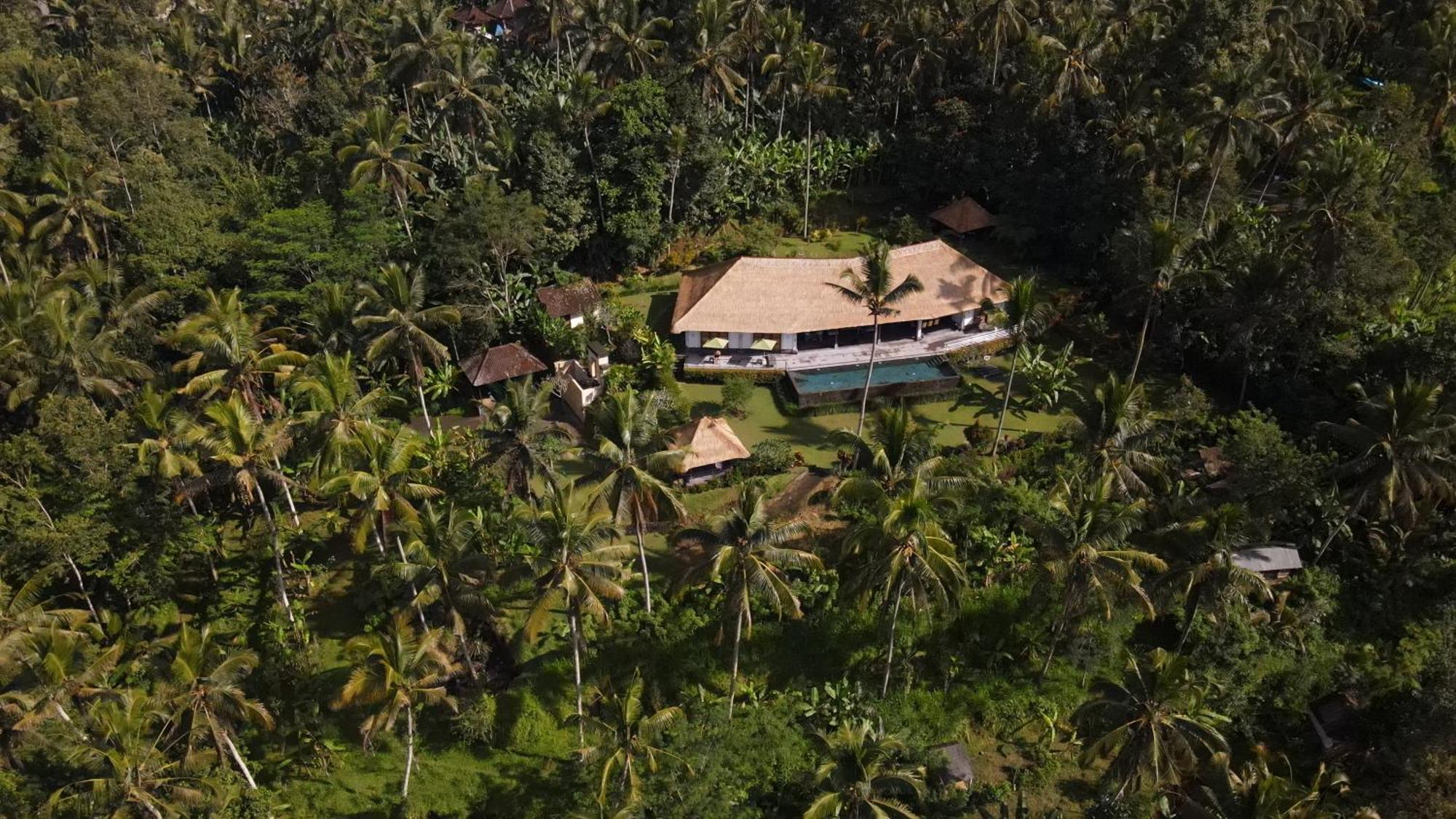 Villa Themma Jungle - Sumptuous 3Br Luxury Villa With Majestic Jungle View North Of Ubud Exteriör bild