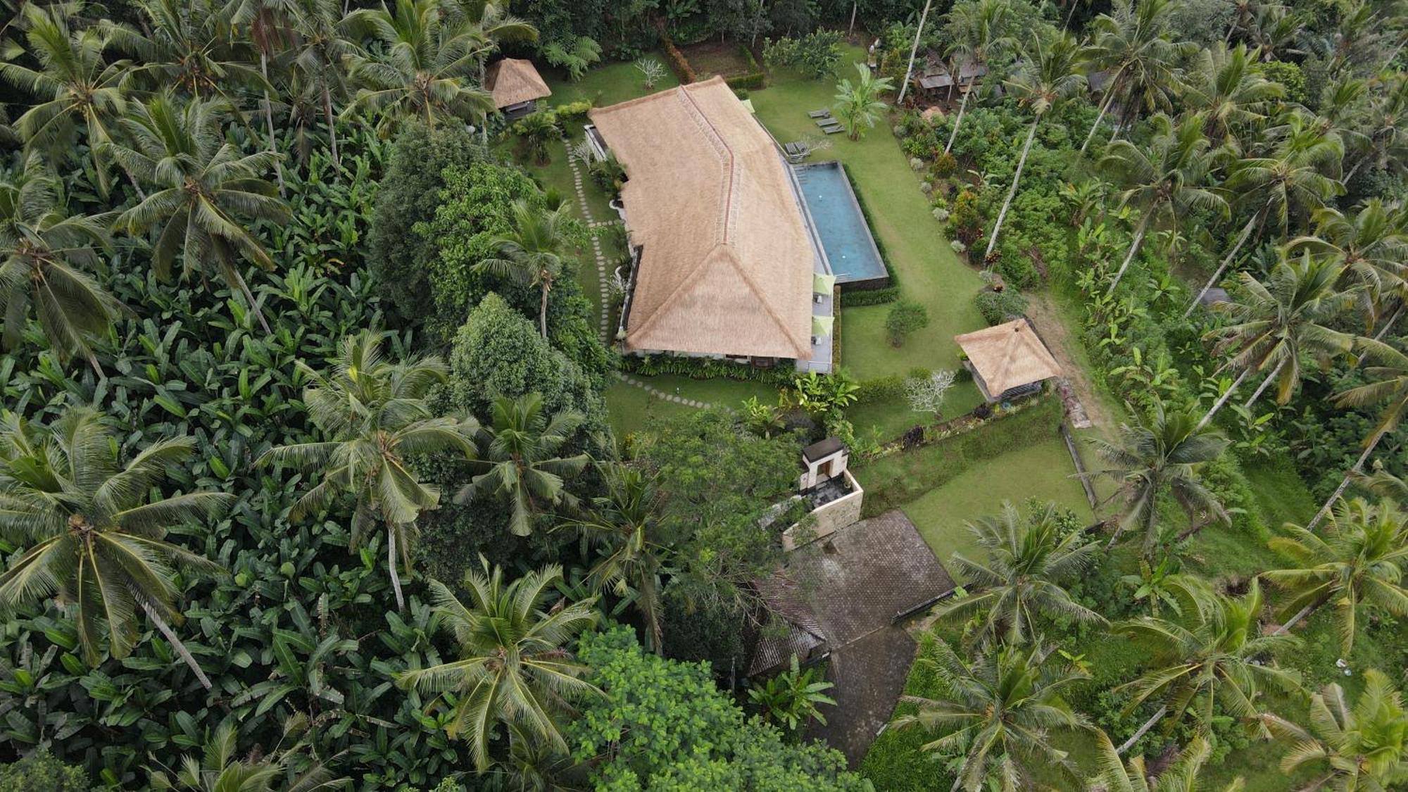 Villa Themma Jungle - Sumptuous 3Br Luxury Villa With Majestic Jungle View North Of Ubud Exteriör bild