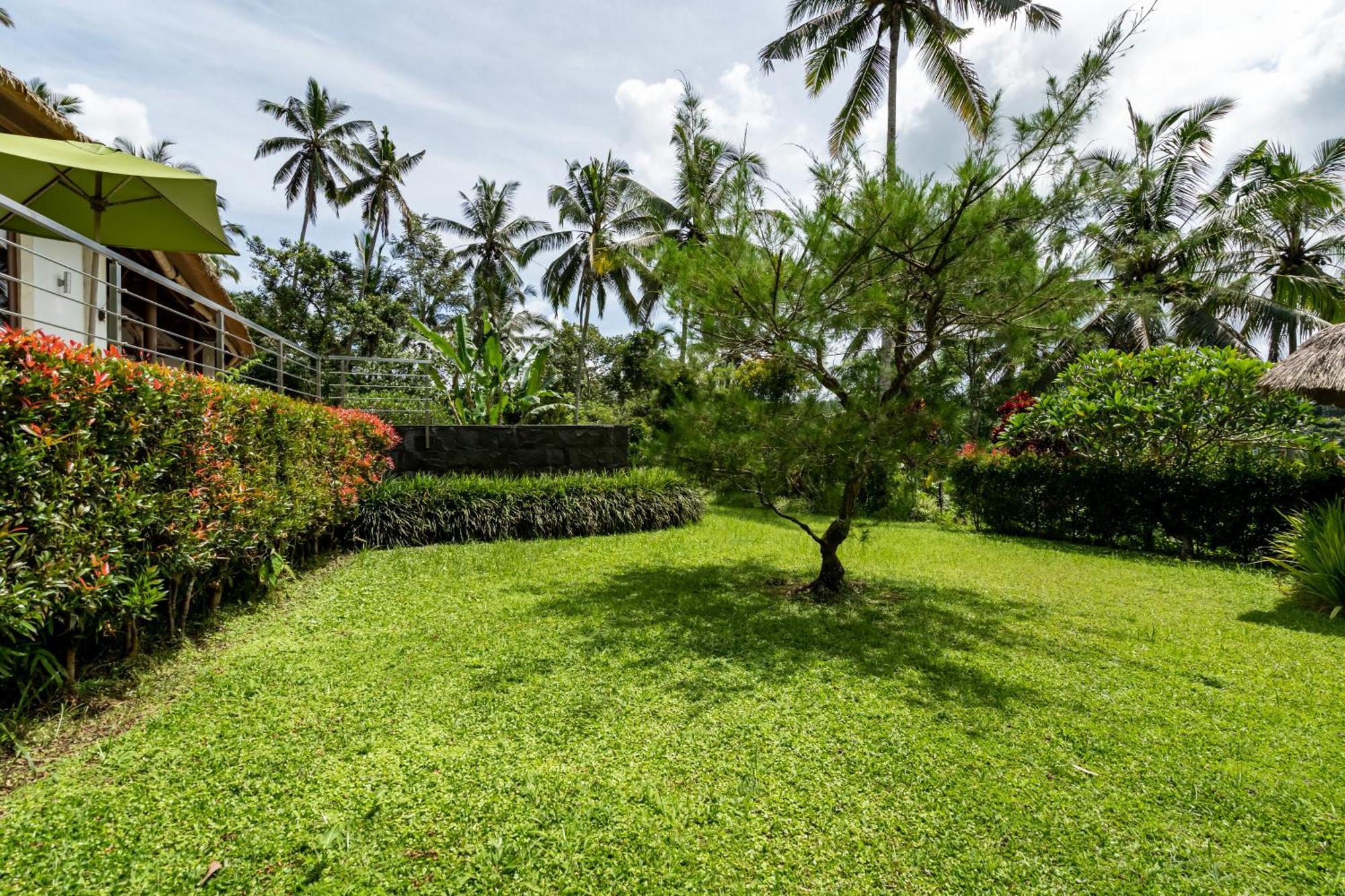 Villa Themma Jungle - Sumptuous 3Br Luxury Villa With Majestic Jungle View North Of Ubud Exteriör bild