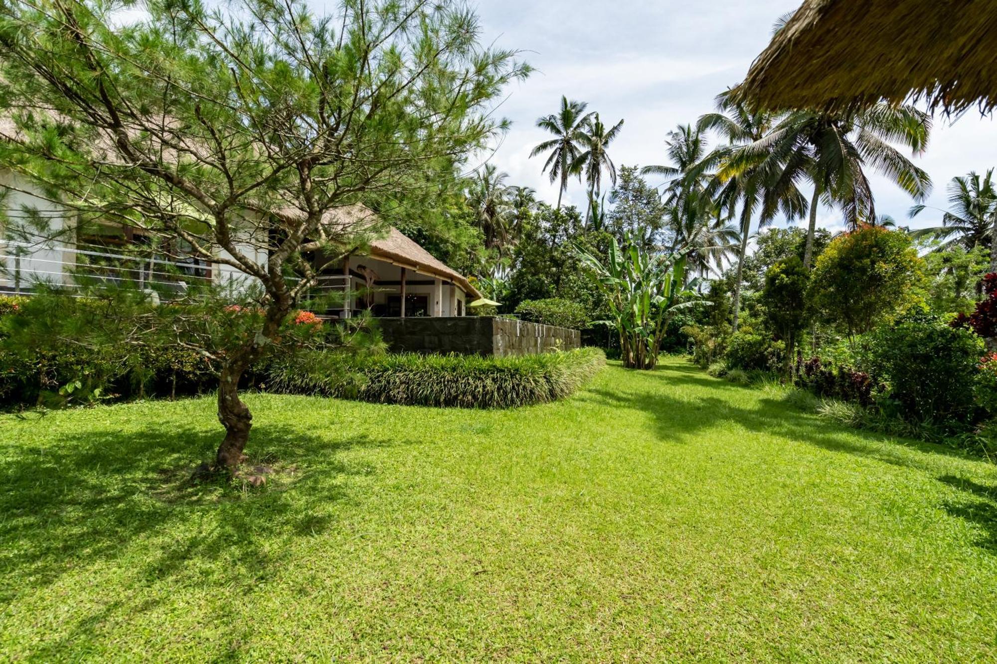 Villa Themma Jungle - Sumptuous 3Br Luxury Villa With Majestic Jungle View North Of Ubud Exteriör bild