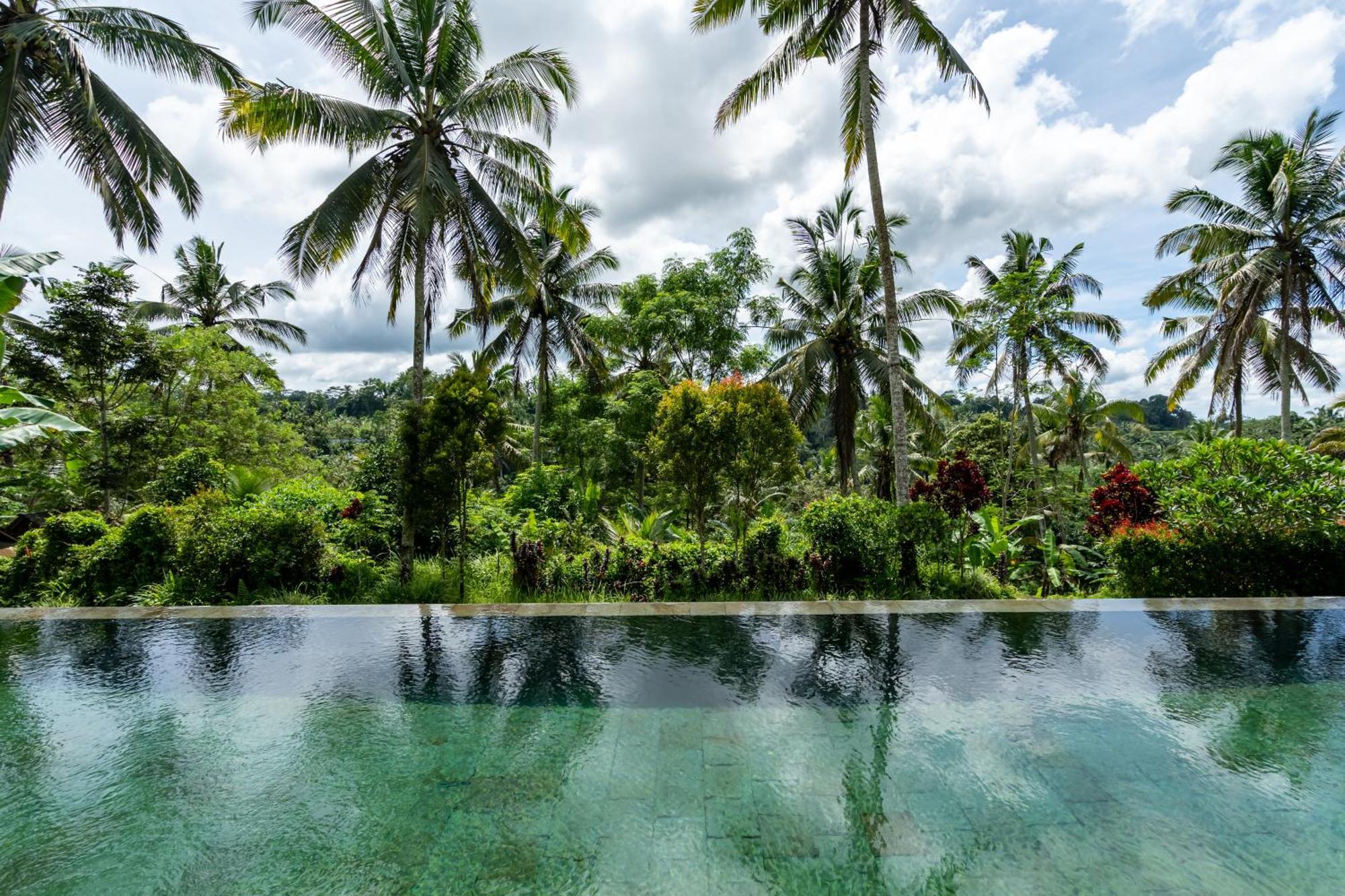 Villa Themma Jungle - Sumptuous 3Br Luxury Villa With Majestic Jungle View North Of Ubud Exteriör bild