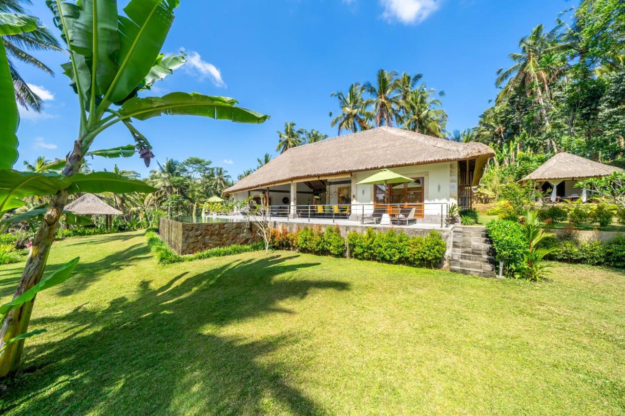 Villa Themma Jungle - Sumptuous 3Br Luxury Villa With Majestic Jungle View North Of Ubud Exteriör bild